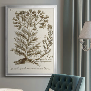 Sepia Botanical Journal I Premium Framed Print - Ready to Hang