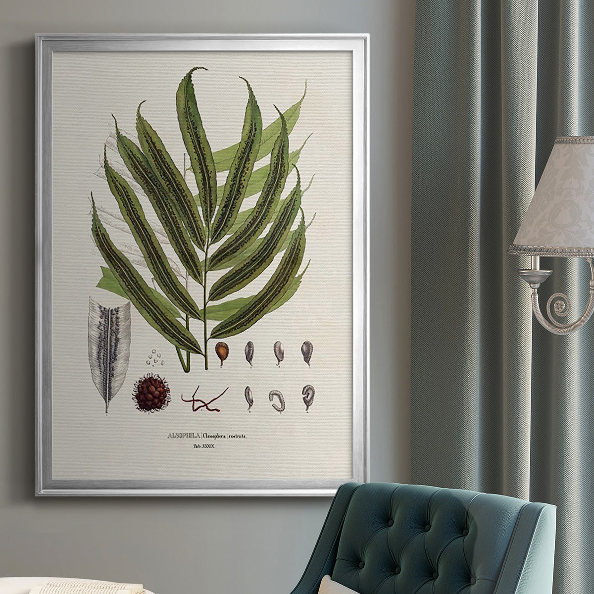 Botanical Society Ferns II Premium Framed Print - Ready to Hang
