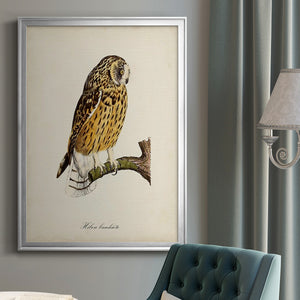 French Owls II Premium Framed Print - Ready to Hang