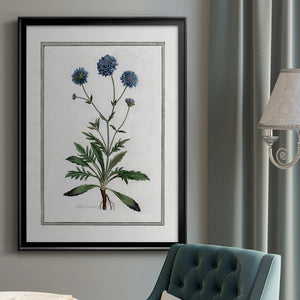 Soft Botanical II Premium Framed Print - Ready to Hang