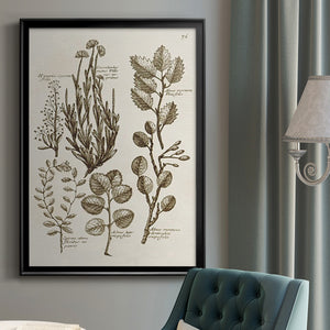 Sepia Botanical Journal VIII Premium Framed Print - Ready to Hang