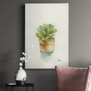 Succulent II Premium Gallery Wrapped Canvas - Ready to Hang