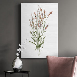 Dainty Botanical II Premium Gallery Wrapped Canvas - Ready to Hang