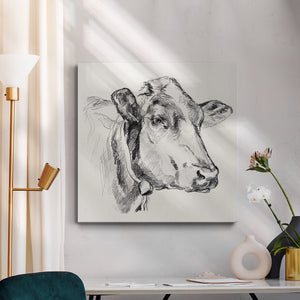 Holstein Portrait Sketch I-Premium Gallery Wrapped Canvas - Ready to Hang