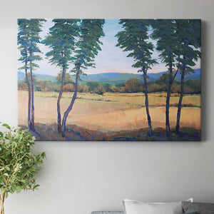 Still Morning II Premium Gallery Wrapped Canvas - Ready to Hang