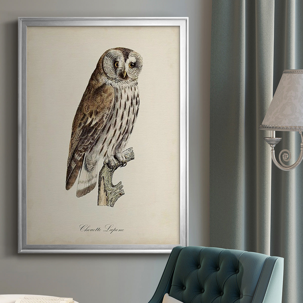 French Owls III Premium Framed Print - Ready to Hang