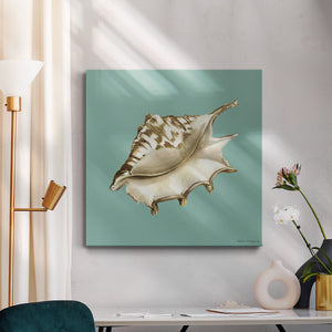 Shell on Aqua IV-Premium Gallery Wrapped Canvas - Ready to Hang