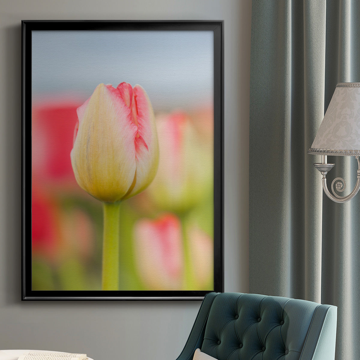 Twotone Tulip Premium Framed Print - Ready to Hang