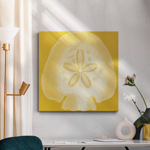 Saturated Shell I-Premium Gallery Wrapped Canvas - Ready to Hang