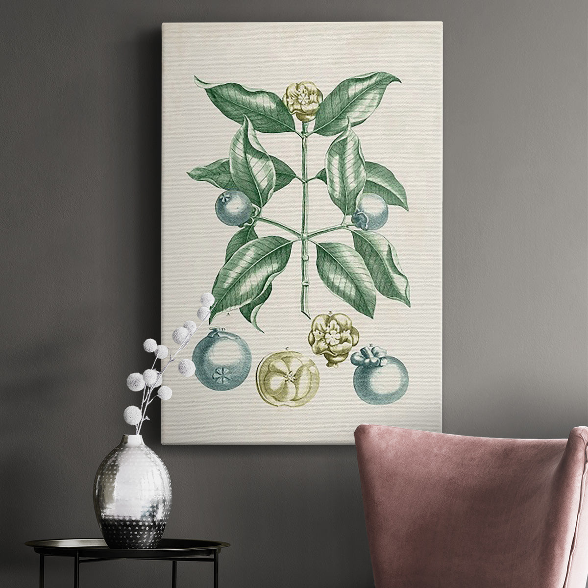 Buchoz Tropicals VII Premium Gallery Wrapped Canvas - Ready to Hang