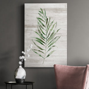 Tropic Frond II Premium Gallery Wrapped Canvas - Ready to Hang