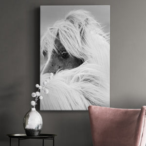 Island Pony II Premium Gallery Wrapped Canvas - Ready to Hang