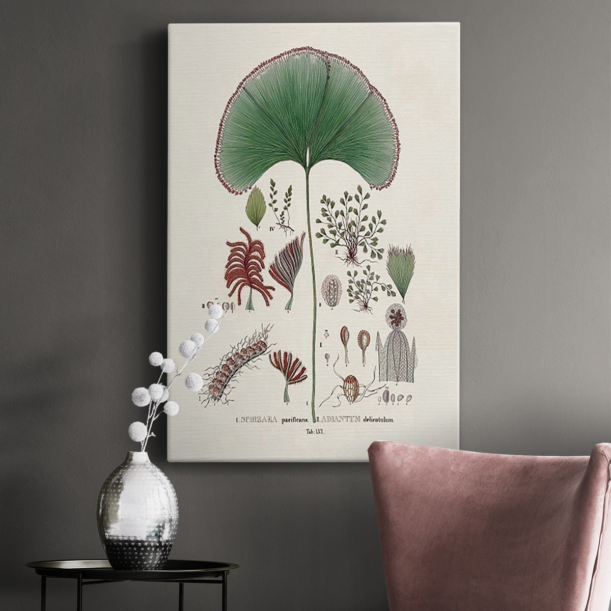 Botanical Society Ferns III Premium Gallery Wrapped Canvas - Ready to Hang