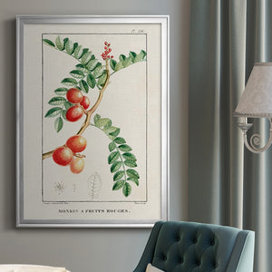 Turpin Tropical Botanicals III Premium Framed Print - Ready to Hang