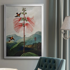 Temple of Flora VIII Premium Framed Print - Ready to Hang