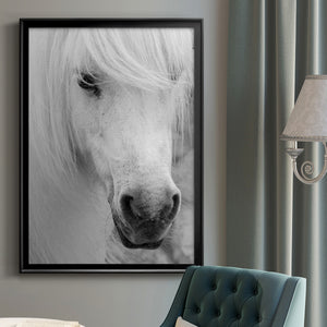 Island Pony I Premium Framed Print - Ready to Hang