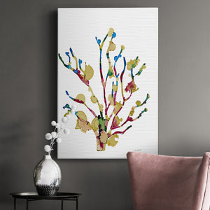 Sea Coral III Premium Gallery Wrapped Canvas - Ready to Hang