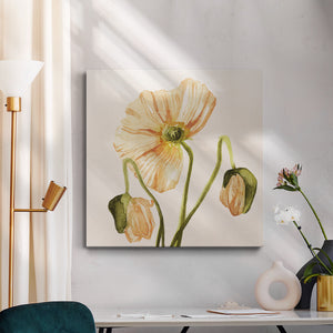 Highpoint Poppies I-Premium Gallery Wrapped Canvas - Ready to Hang
