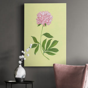 Peonies in Yellow I Premium Gallery Wrapped Canvas - Ready to Hang