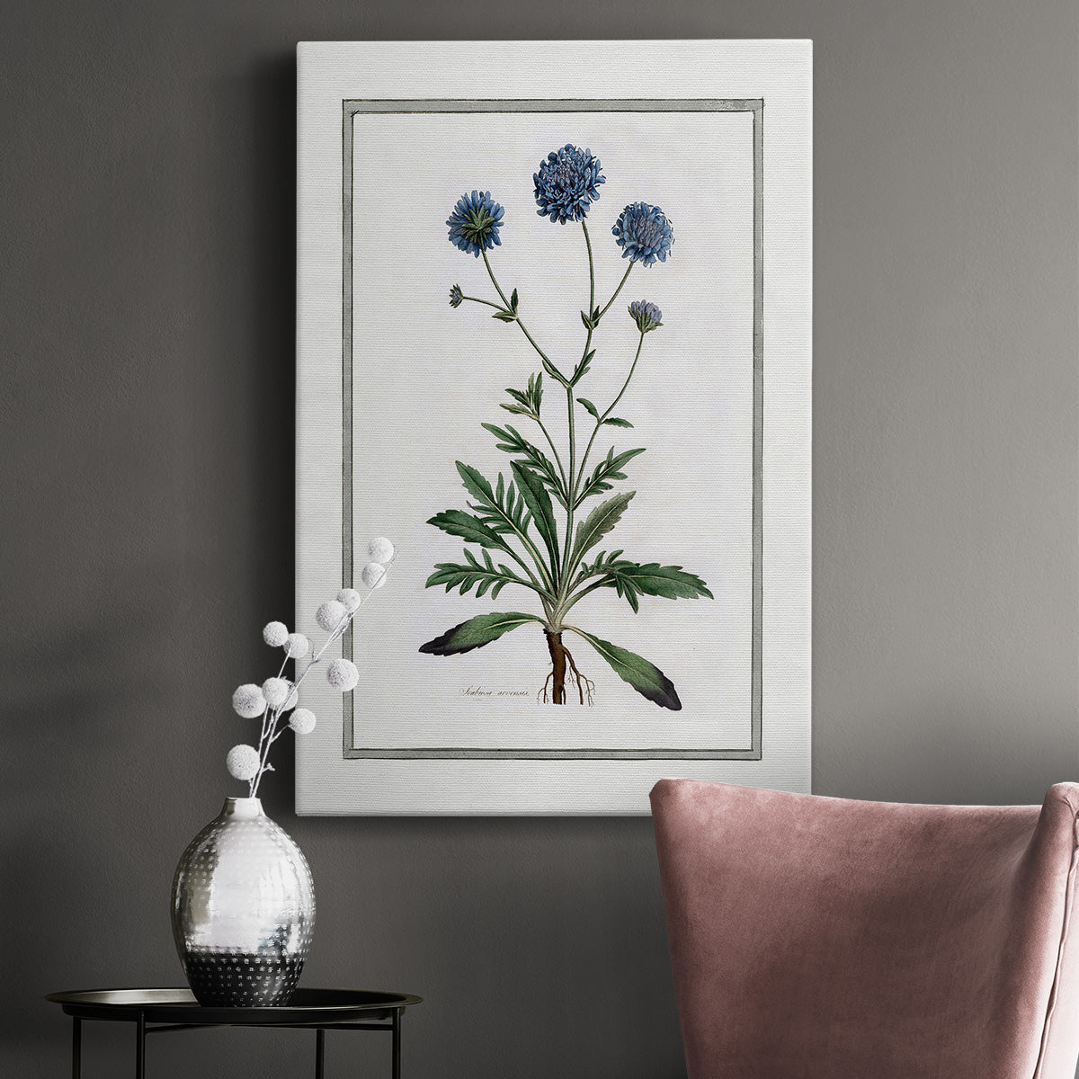 Soft Botanical II Premium Gallery Wrapped Canvas - Ready to Hang