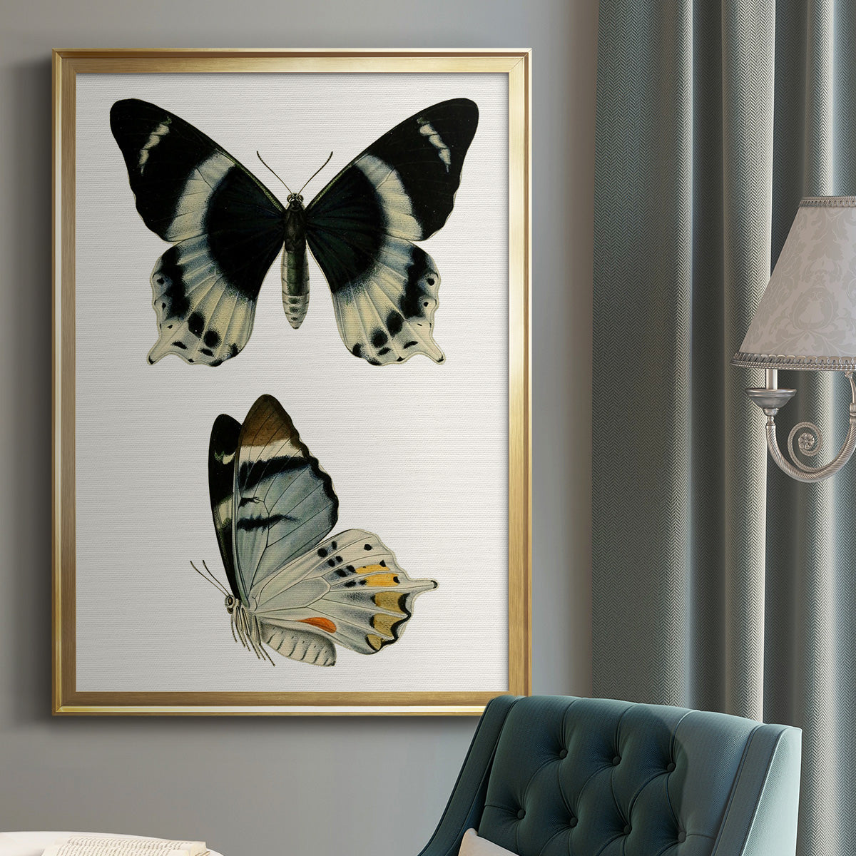 Antique Blue Butterflies I Premium Framed Print - Ready to Hang