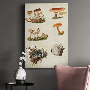 Mushroom Species X Premium Gallery Wrapped Canvas - Ready to Hang