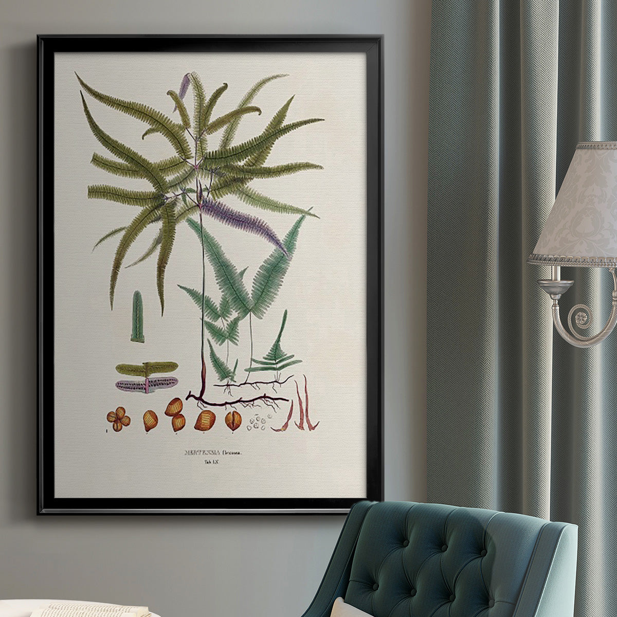 Botanical Society Ferns VIII Premium Framed Print - Ready to Hang