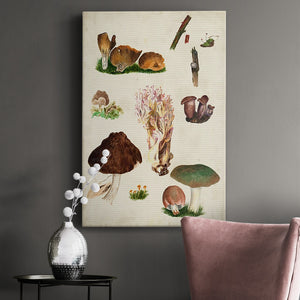 Mushroom Species IX Premium Gallery Wrapped Canvas - Ready to Hang