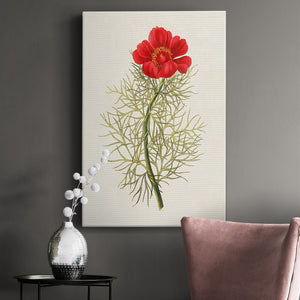 Flowers of the Seasons VII Premium Gallery Wrapped Canvas - Ready to Hang