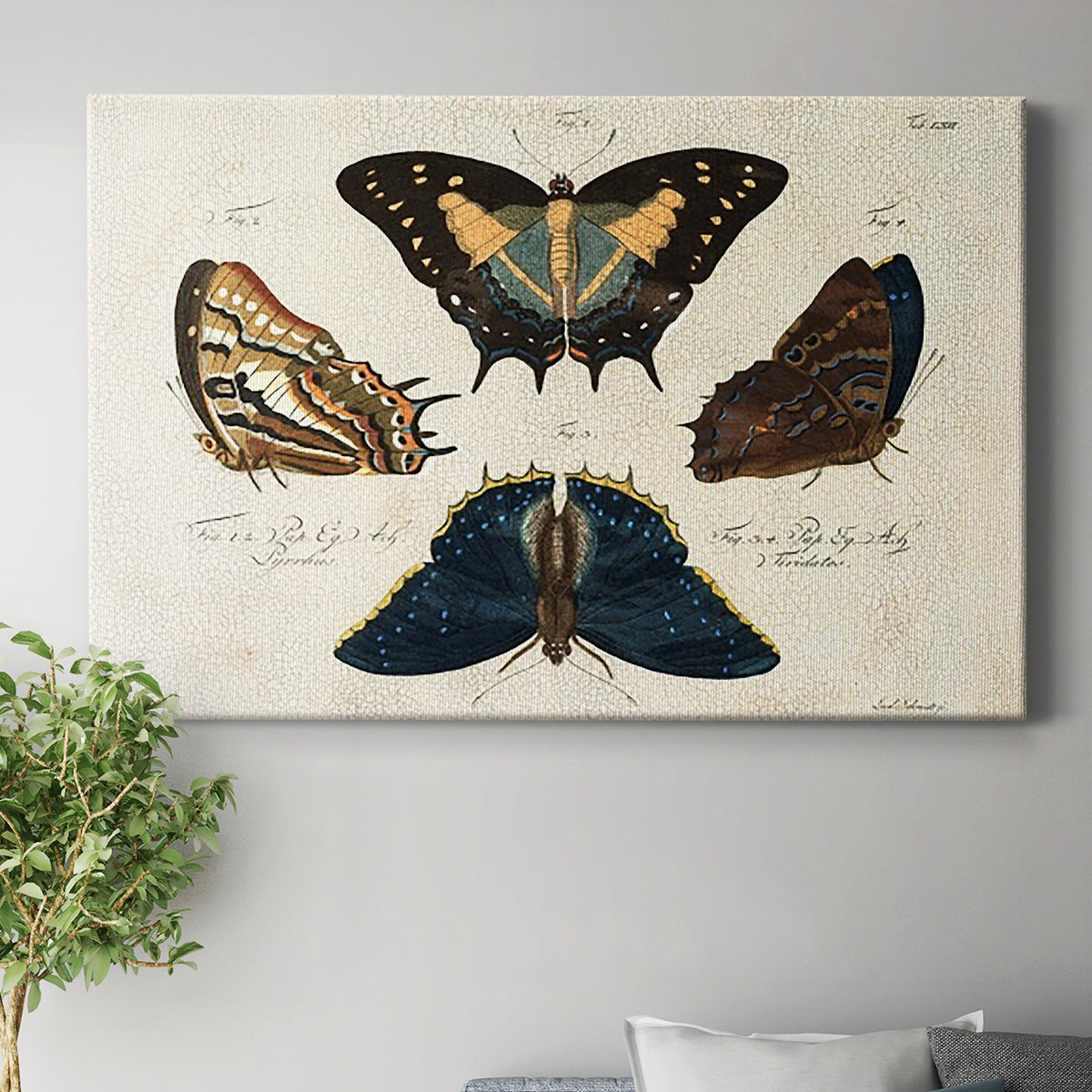 Crackled Butterflies IV Premium Gallery Wrapped Canvas - Ready to Hang