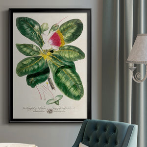 Imperial Tropical Botanical I Premium Framed Print - Ready to Hang