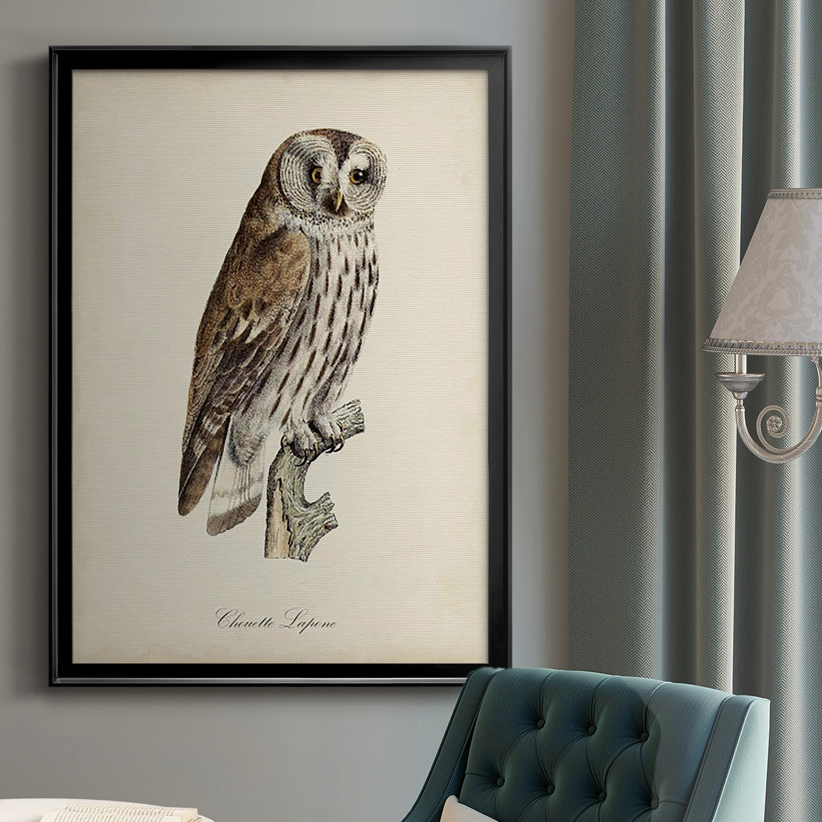 French Owls III Premium Framed Print - Ready to Hang