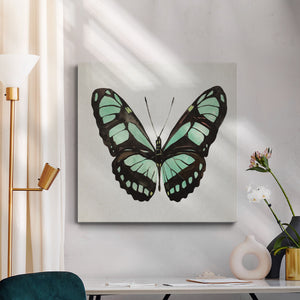 Mint Butterfly II-Premium Gallery Wrapped Canvas - Ready to Hang