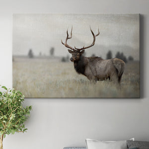 Grand Elk Premium Gallery Wrapped Canvas - Ready to Hang