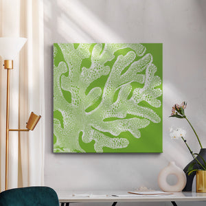 Saturated Coral II-Premium Gallery Wrapped Canvas - Ready to Hang