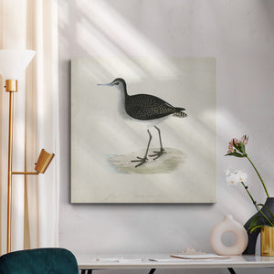 Morris Sandpipers VIII-Premium Gallery Wrapped Canvas - Ready to Hang