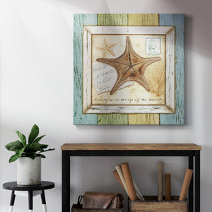 Sea Treasures XII-Premium Gallery Wrapped Canvas - Ready to Hang