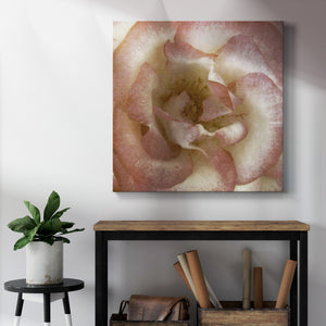 Wall Flower VI-Premium Gallery Wrapped Canvas - Ready to Hang