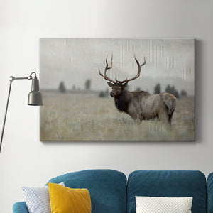 Grand Elk Premium Gallery Wrapped Canvas - Ready to Hang