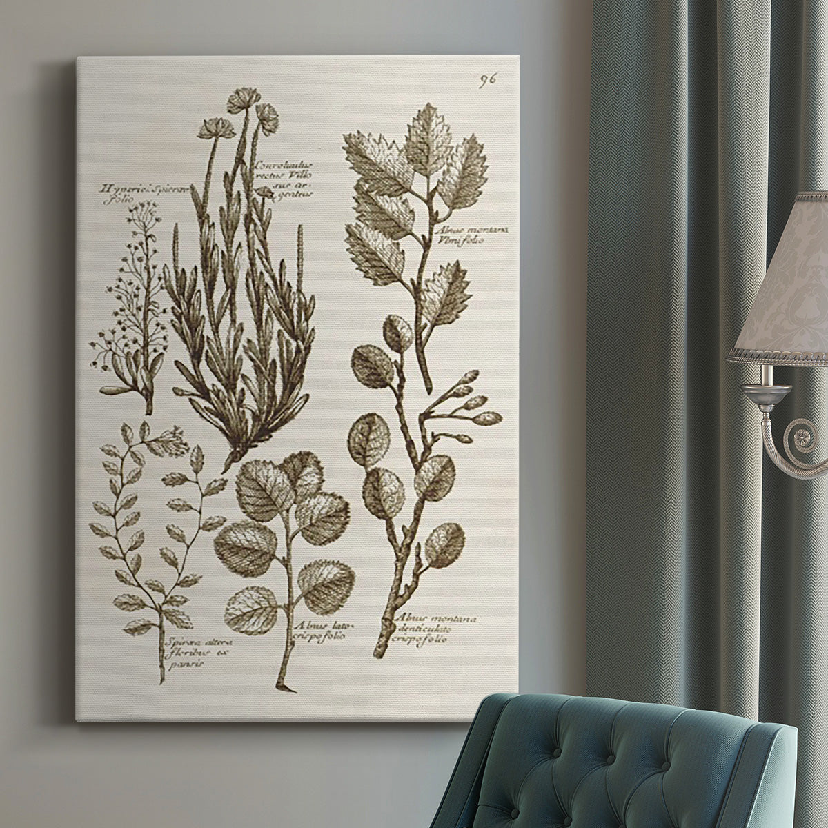 Sepia Botanical Journal VIII Premium Gallery Wrapped Canvas - Ready to Hang