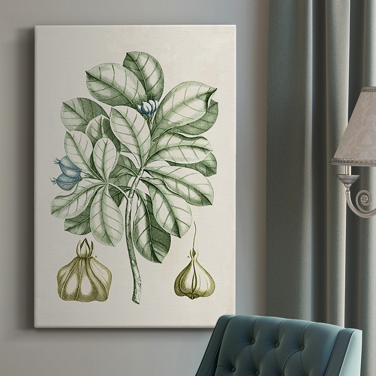 Buchoz Tropicals IX Premium Gallery Wrapped Canvas - Ready to Hang