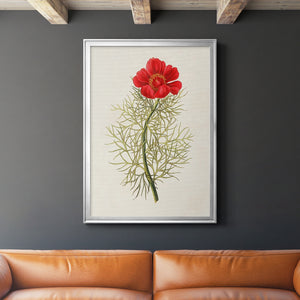 Flowers of the Seasons VII Premium Framed Print - Ready to Hang