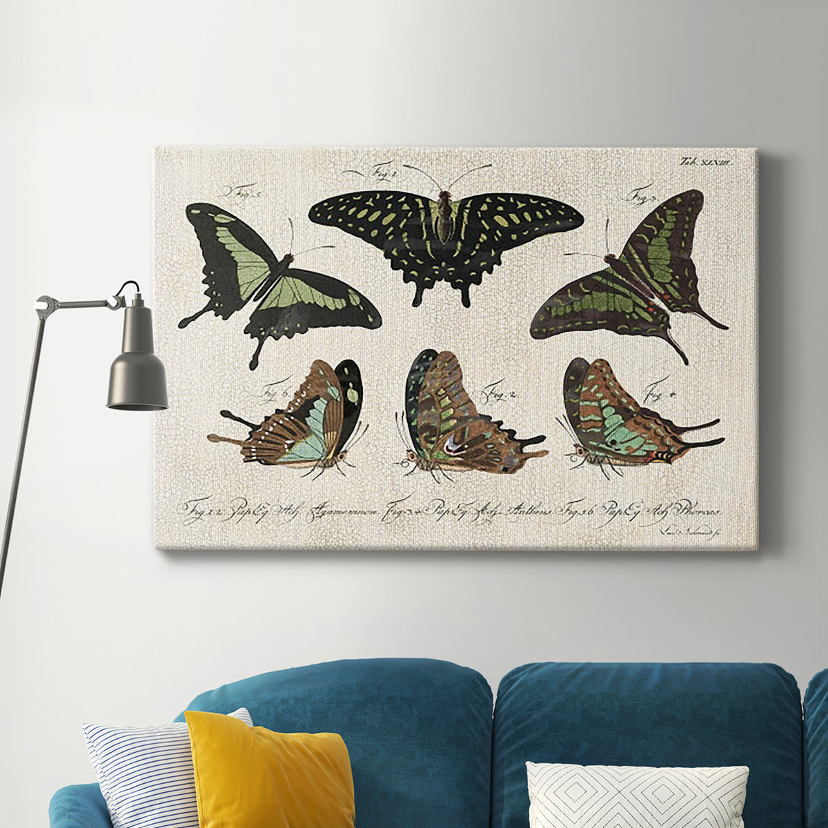 Crackled Butterflies II Premium Gallery Wrapped Canvas - Ready to Hang