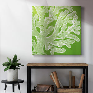 Saturated Coral II-Premium Gallery Wrapped Canvas - Ready to Hang