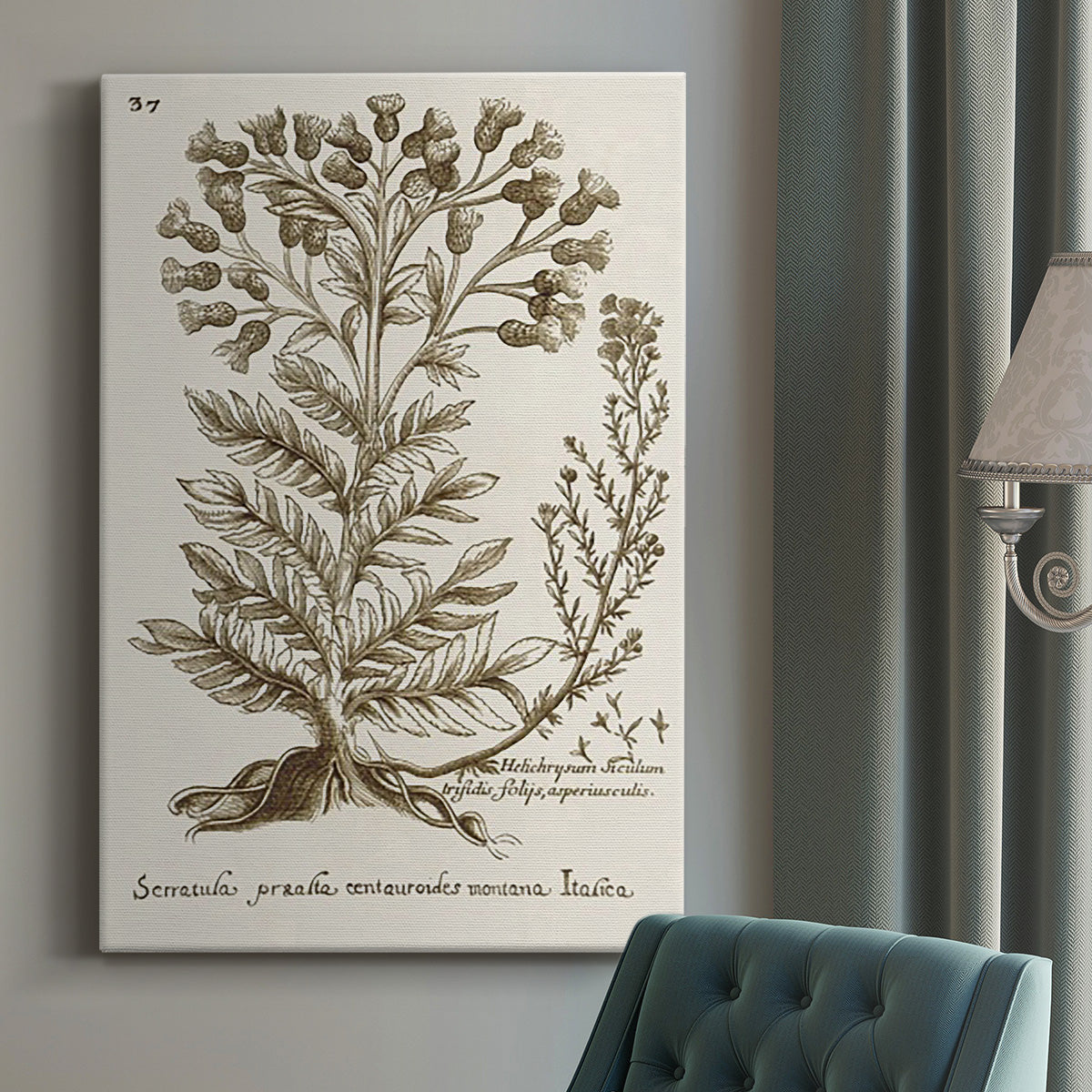 Sepia Botanical Journal I Premium Gallery Wrapped Canvas - Ready to Hang