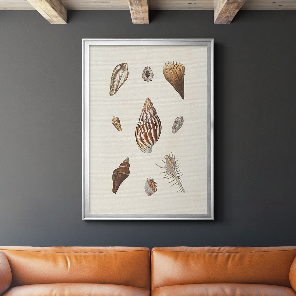 Knorr Shells & Coral IX Premium Framed Print - Ready to Hang