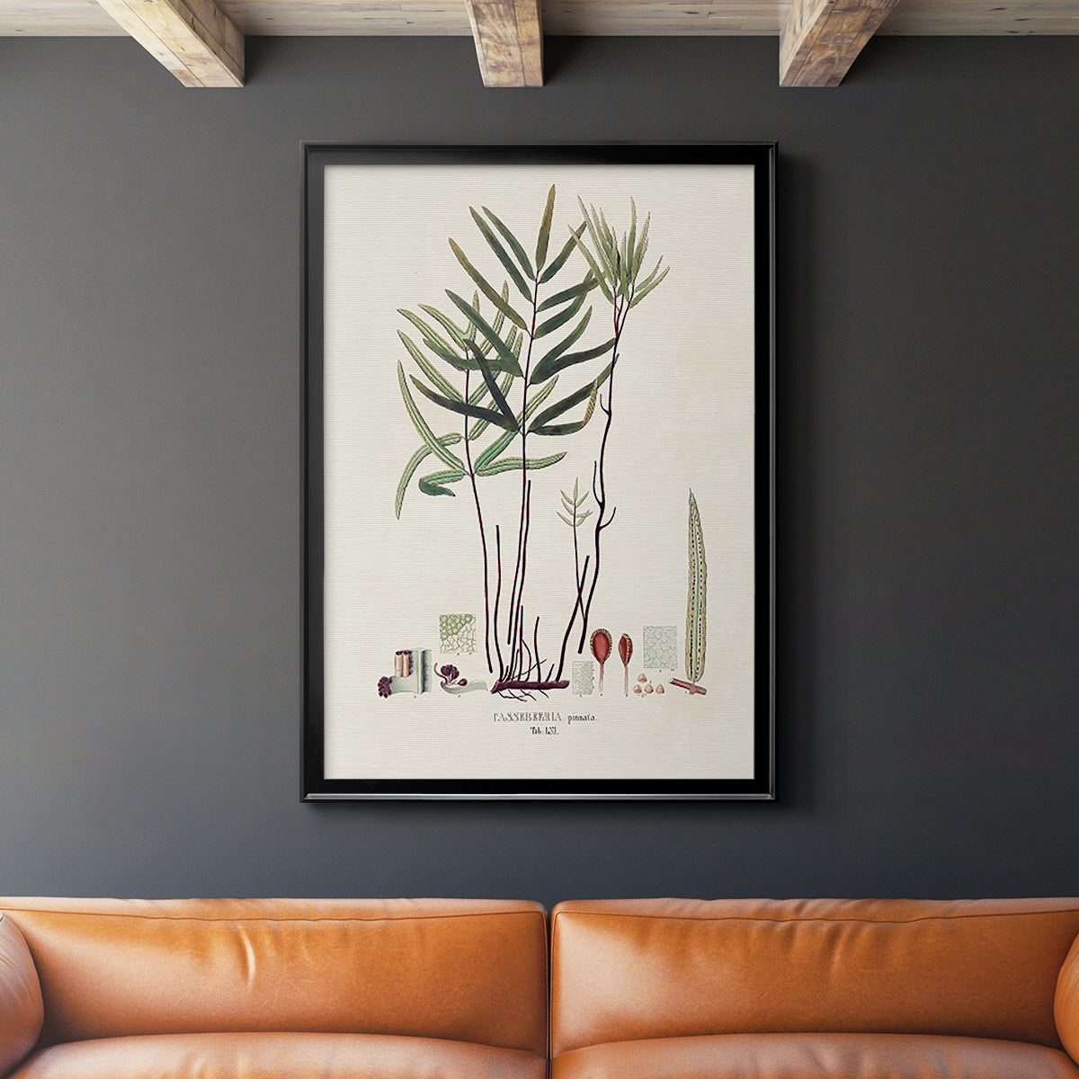 Botanical Society Ferns XI Premium Framed Print - Ready to Hang
