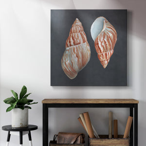 Shell on Slate V-Premium Gallery Wrapped Canvas - Ready to Hang