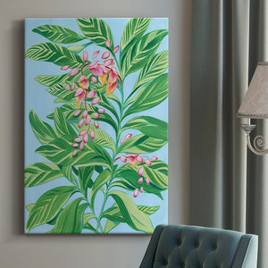 Tropical Shell Ginger II Premium Gallery Wrapped Canvas - Ready to Hang