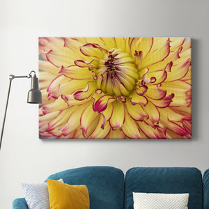 Blooms II Premium Gallery Wrapped Canvas - Ready to Hang